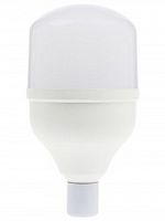 Лампа светодиодная Эра LED smd POWER E27 220В 20Вт 1600Лм 6500К 80х138мм картинка 